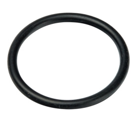 Уплотнительное кольцо (26х3) в комплекте 10 шт. прессовой Multyrama Prandelli 109.80.02.6 в Красноярске 0