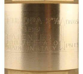 Клапан обратный пружинный муфтовый с металлическим седлом EUROPA 100 2 1/2 Itap в Красноярске 7